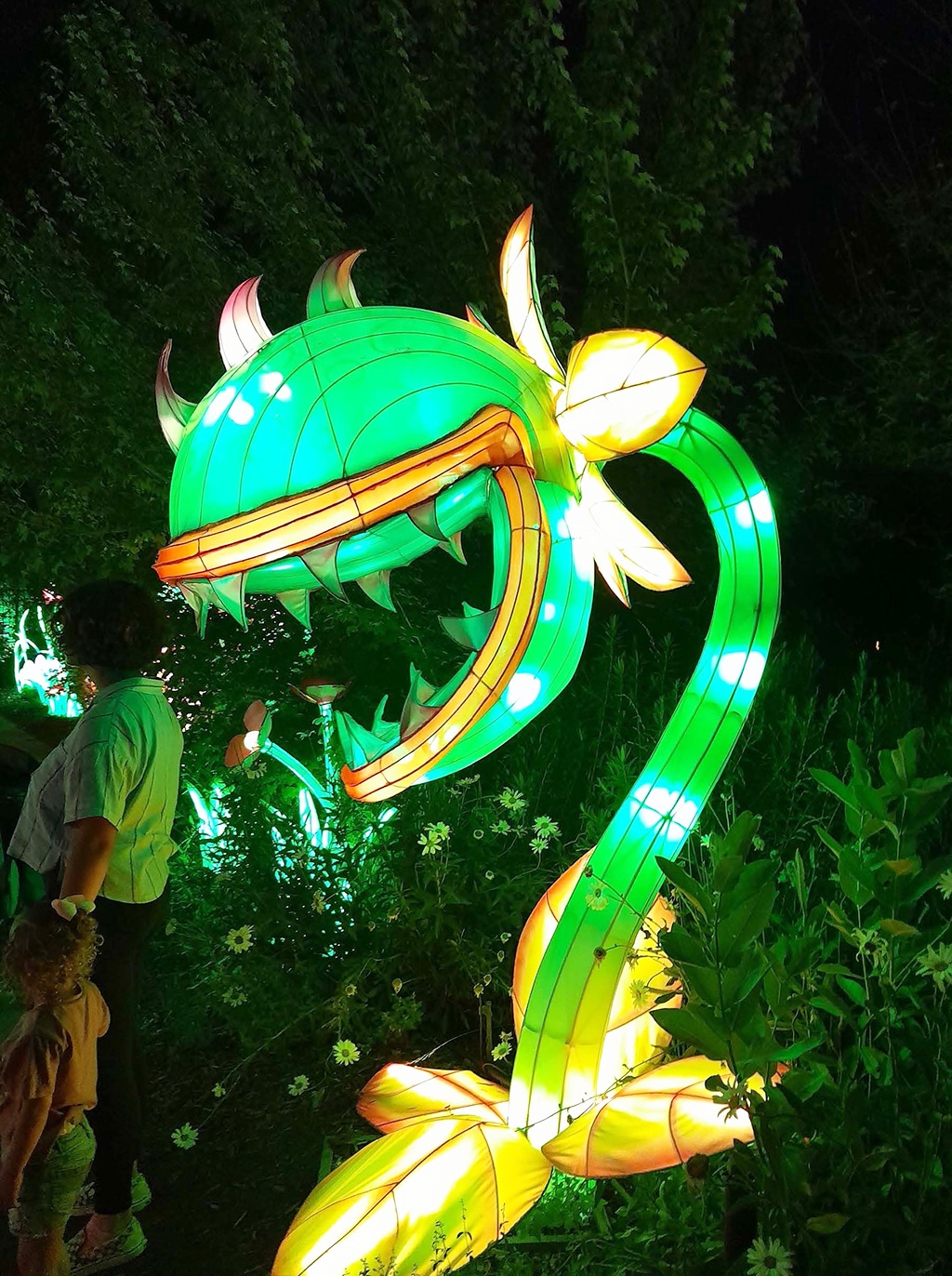 Dragon Lights Festival – Sierra Nevada Ally