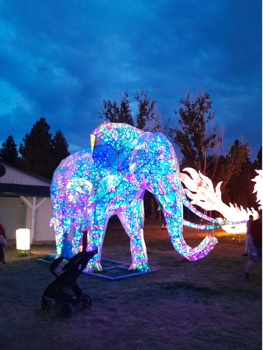 Dragon Lights Festival – Sierra Nevada Ally