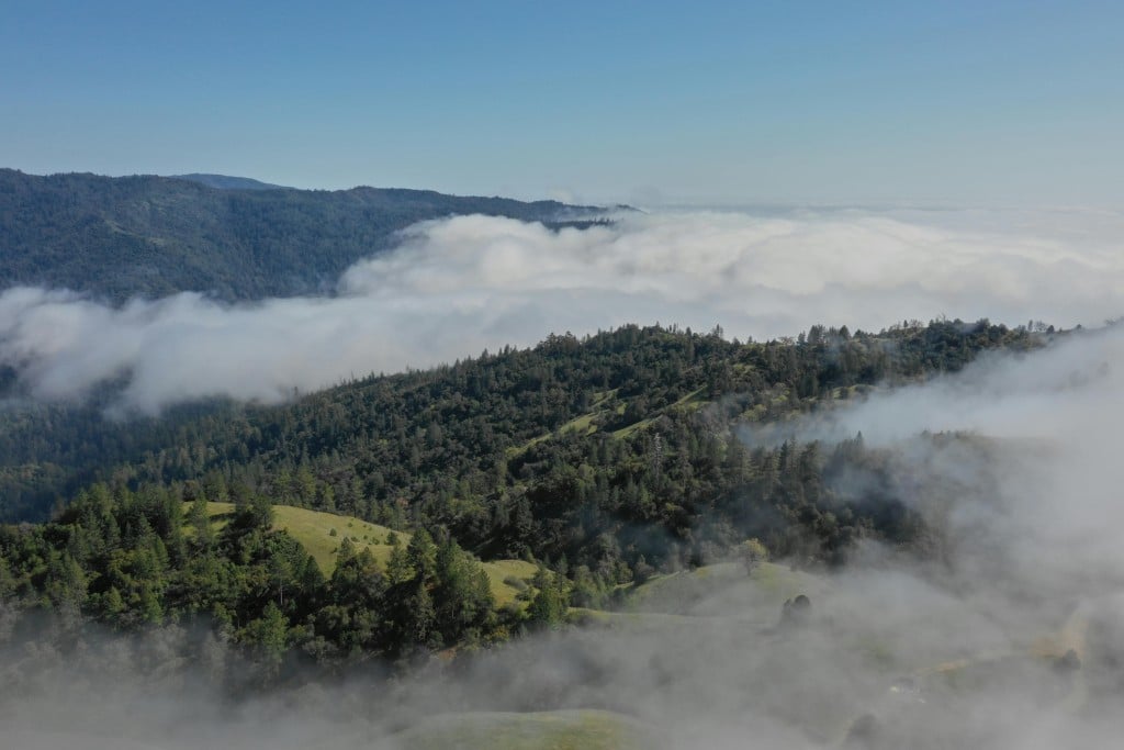 The image depicts a landscape consistent with the foothills of California, characterized by rolling hills, trees, and fog. This type of scenery is commonly found in various California foothill regions, such as those of the Sierra Nevada mountains.