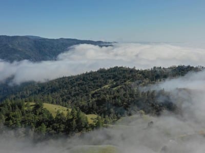The image depicts a landscape consistent with the foothills of California, characterized by rolling hills, trees, and fog. This type of scenery is commonly found in various California foothill regions, such as those of the Sierra Nevada mountains.