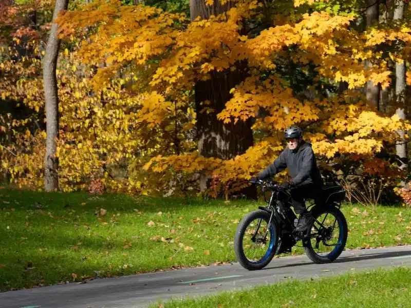 A man rides his bike against a backdrop of yellow Autumn leaves.