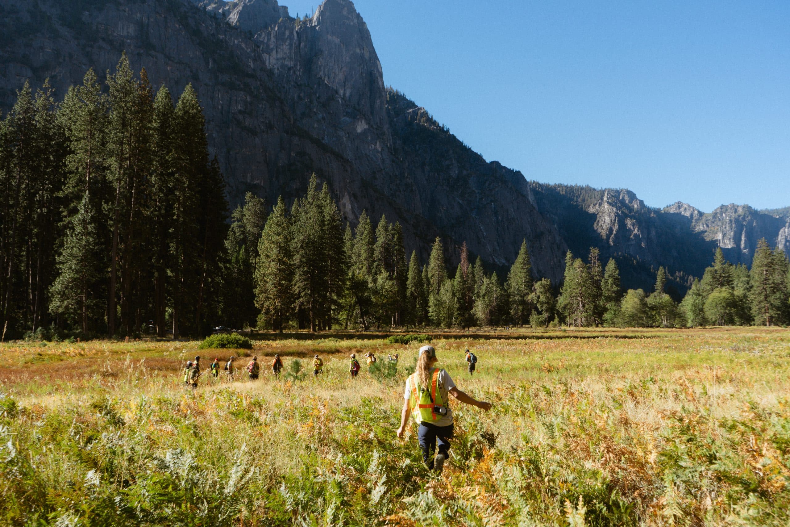 Hard Work, Low Pay, High Risk: Who Wants a Job in Forestry?