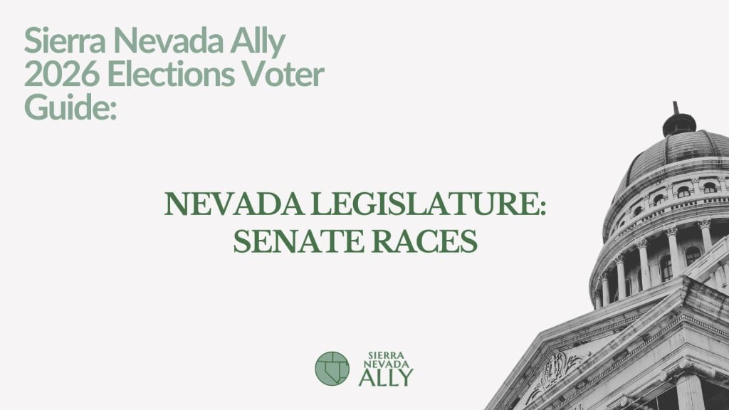 Carreras legislativas del estado de Nevada: ¿Quién se postula para el Senado?